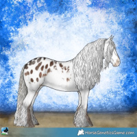 Horse Color:Liver Chestnut Mushroom Appaloosa Rabicano 