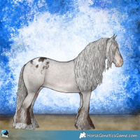 Horse Color:Liver Chestnut Mushroom Appaloosa Rabicano