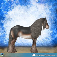 Horse Color:Liver Chestnut Mushroom 