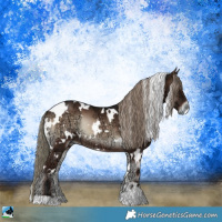 Horse Color:White Spotted Liver Red Onyx Ice Mushroom Rabicano 