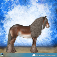 Horse Color:Liver Chestnut Mushroom Rabicano 