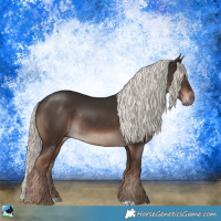 Horse Color:Liver Chestnut Mushroom Rabicano 