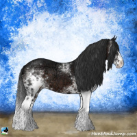 Horse Color:White Spotted Brown Ice 