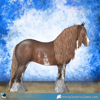 Horse Color:Liver Chestnut Sabino
