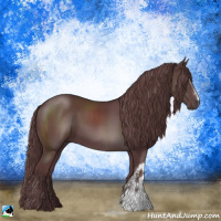Horse Color:Chocolate Black