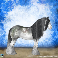 Horse Color:White Spotted Brown Chinchilla Splash Rabicano 