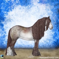 Horse Color:Chocolate Brown Chinchilla Rabicano 