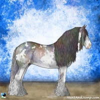 Horse Color:Nacre White Spotted Black Chinchilla Splash Rabicano 