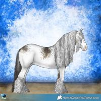 Horse Color:White Spotted Buckskin Dun Rabicano