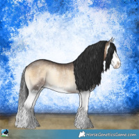 Horse Color:Brown Onyx Splash Rabicano 