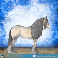 Horse Color:Buckskin Ice Onyx Appaloosa Rabicano