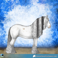 Horse Color:Buckskin Ice Dun Sabino Rabicano 