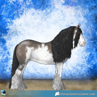 Horse Color:Brown Dun Sabino Rabicano