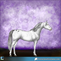 Horse Color:White Spotted Black Mushroom Appaloosa 