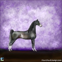 Horse Color:Brown Sabino 