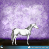 Horse Color:Black Sabino Near Fewspot 