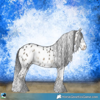 Horse Color:Brown Ice Onyx Sabino Appaloosa Rabicano