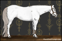 Horse Color:Gray Silver Brown Appaloosa 