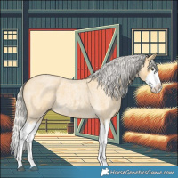 Horse Color:Silver Buckskin Roan Splash 