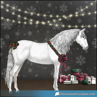 Horse Color:Gray Liver Chestnut Tobiano Appaloosa 