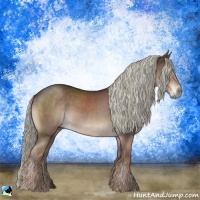 Horse Color:Liver Chestnut Mushroom Rabicano 