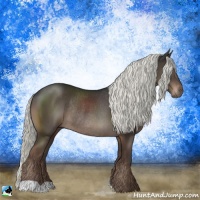 Horse Color:Liver Chestnut Mushroom Rabicano 