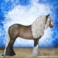 Horse Color:Liver Chestnut Mushroom Rabicano 