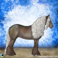 Horse Color:Liver Chestnut Mushroom Rabicano 