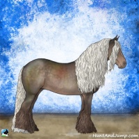 Horse Color:Liver Chestnut Mushroom Rabicano 