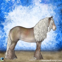 Horse Color:Liver Chestnut Mushroom 