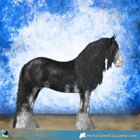 Horse Color:White Spotted Black Chinchilla Ice 
