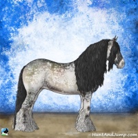 Horse Color:Blue Onyx Ice Rabicano 
