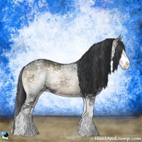 Horse Color:Blue Onyx Ice Sabino Rabicano 