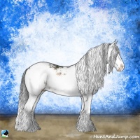 Horse Color:Brown Onyx Sabino 