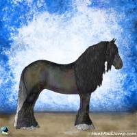 Horse Color:Midnight Brown Ice Onyx Rabicano 