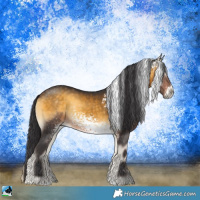 Horse Color:White Spotted Buckskin Onyx Sabino Rabicano 