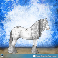 Horse Color:White Spotted Smoky Blue Onyx Ice Sabino Rabicano 