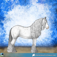 Horse Color:Smoky Blue Onyx Sabino Rabicano 