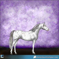 Horse Color:Blue Onyx Ice Mushroom Sabino Appaloosa 