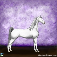 Horse Color:White Spotted Blue Onyx 