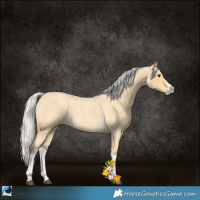 Horse Color:Silver Buckskin Roan Splash 