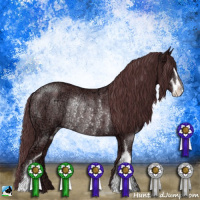 Horse Color:Chocolate Black Chinchilla Ice Sabino Rabicano