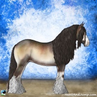 Horse Color:Liver Red Onyx Rabicano 