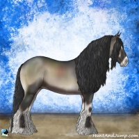 Horse Color:Blue Onyx Rabicano 