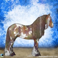 Horse Color:Nacre White Spotted Liver Chestnut 