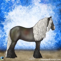 Horse Color:Liver Chestnut Mushroom 
