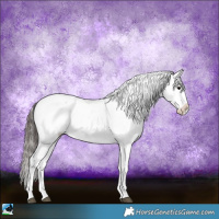 Horse Color:White Spotted Brown Ice Onyx Appaloosa 