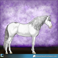 Horse Color:Blue Onyx Sabino Appaloosa 