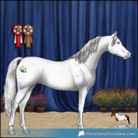 Horse Color:Gray Silver Classic Champagne Dun Splash Tobiano 