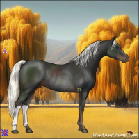 Horse Color:Liver Chestnut Mushroom Rabicano 